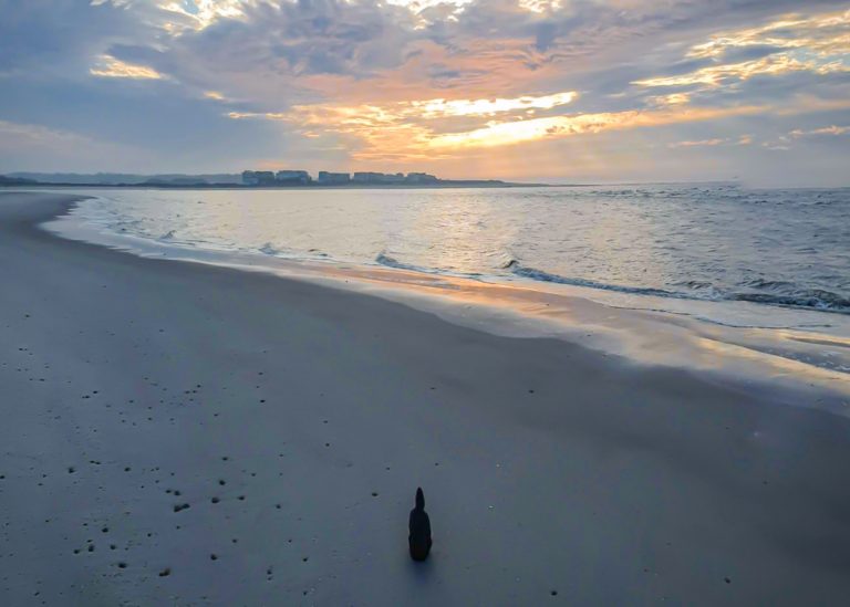 Sunrise at the beach